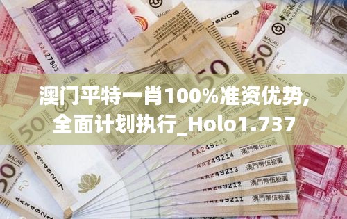 澳门平特一肖100%准资优势,全面计划执行_Holo1.737