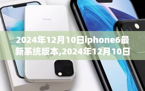 深度解析2024年12月10日iPhone 6最新系统版本体验与优化详解