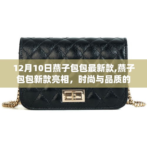 燕子包包新款亮相，时尚与品质的完美融合（12月10日最新款）