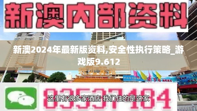 新澳2024年最新版资料,安全性执行策略_游戏版9.612