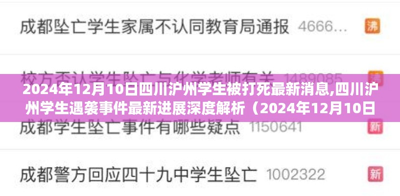 四川泸州学生遇袭事件最新进展深度解析（2024年12月10日）