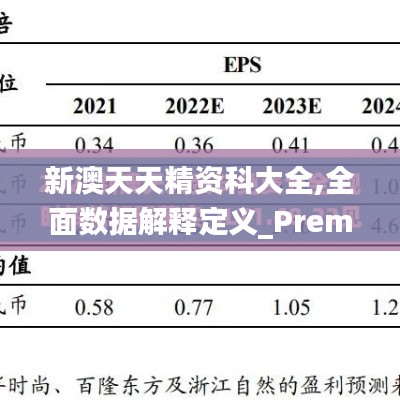 新澳天天精资科大全,全面数据解释定义_Premium9.460