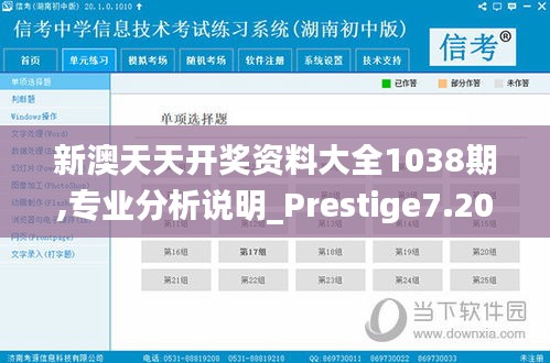 新澳天天开奖资料大全1038期,专业分析说明_Prestige7.204