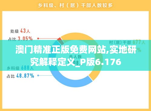 澳门精准正版免费网站,实地研究解释定义_P版6.176