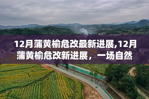 12月蒲黄榆危改最新进展，探索自然美景，寻求内心平和宁静之旅