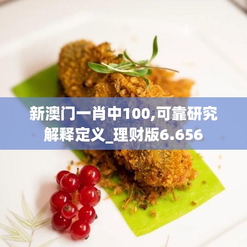 新澳门一肖中100,可靠研究解释定义_理财版6.656