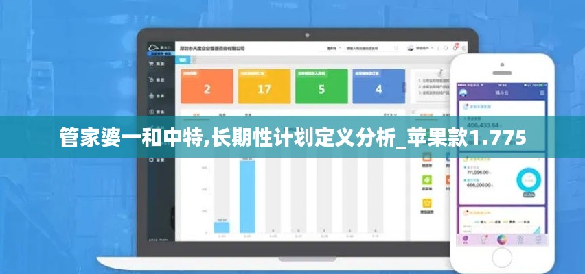 管家婆一和中特,长期性计划定义分析_苹果款1.775