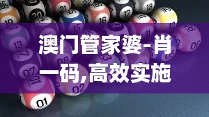澳门管家婆-肖一码,高效实施设计策略_SE版9.684