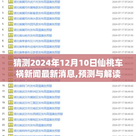 仙桃车祸最新动态，预测与解读，2024年最新进展分析报告