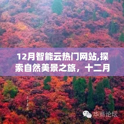 十二月智能云热门网站带你探索自然美景，寻觅内心宁静与平和之旅