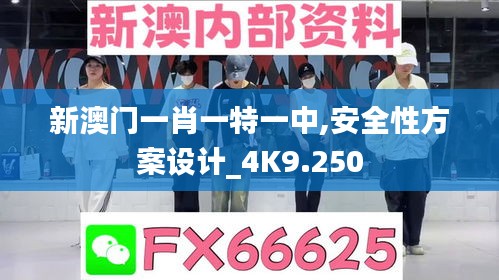 新澳门一肖一特一中,安全性方案设计_4K9.250