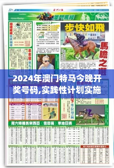 2024年澳门特马今晚开奖号码,实践性计划实施_NE版6.498