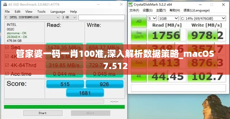 管家婆一码一肖100准,深入解析数据策略_macOS7.512