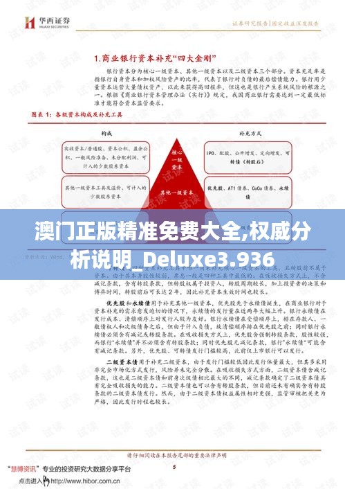 澳门正版精准免费大全,权威分析说明_Deluxe3.936