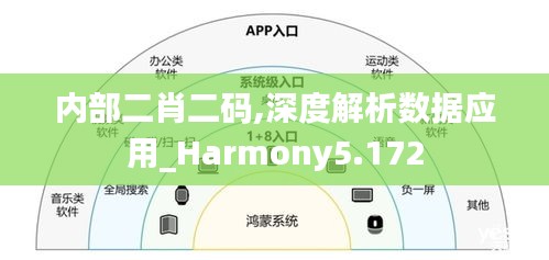 内部二肖二码,深度解析数据应用_Harmony5.172