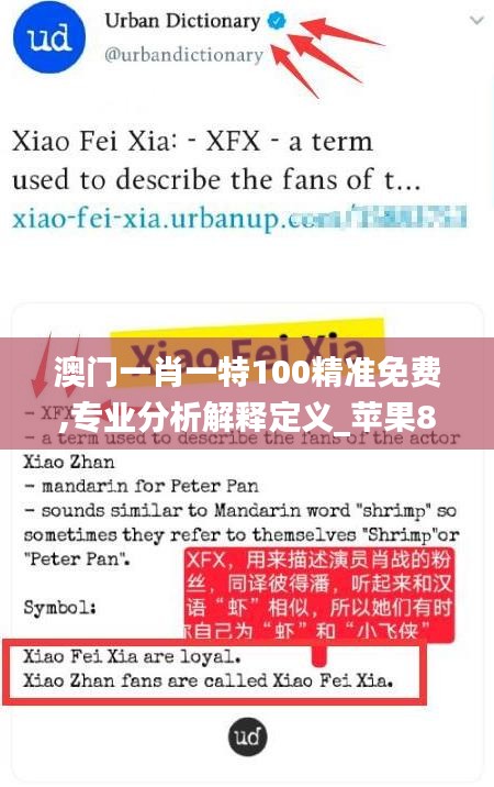 澳门一肖一特100精准免费,专业分析解释定义_苹果8.529