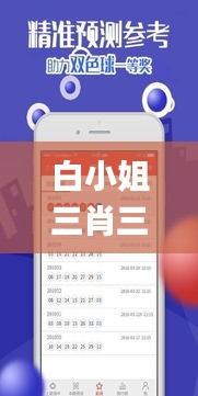 白小姐三肖三期免费开奖,持续设计解析策略_进阶款10.907