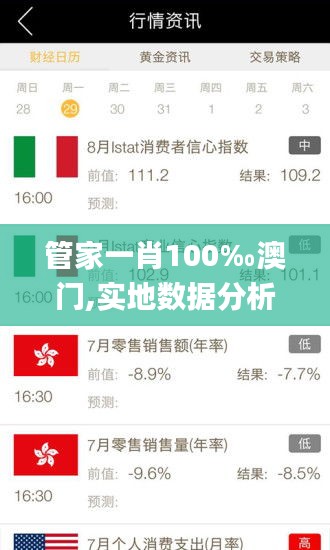 管家一肖100‰澳门,实地数据分析计划_黄金版16.180