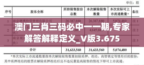 澳门三肖三码必中一一期,专家解答解释定义_V版3.675