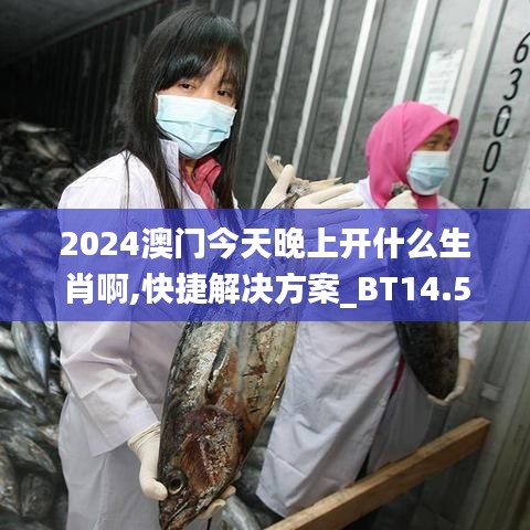 2024澳门今天晚上开什么生肖啊,快捷解决方案_BT14.588