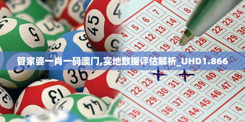 管家婆一肖一码澳门,实地数据评估解析_UHD1.866