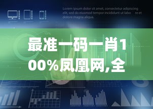 最准一码一肖100%凤凰网,全面数据策略实施_Holo2.196
