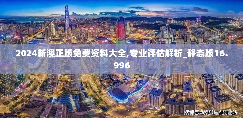 2024新澳正版免费资料大全,专业评估解析_静态版16.996
