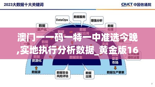 澳门一一码一特一中准选今晚,实地执行分析数据_黄金版16.538