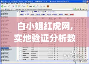 白小姐红虎网,实地验证分析数据_3D1.959