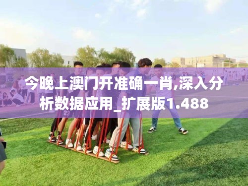 今晚上澳门开准确一肖,深入分析数据应用_扩展版1.488