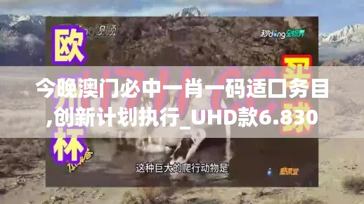 今晚澳门必中一肖一码适囗务目,创新计划执行_UHD款6.830