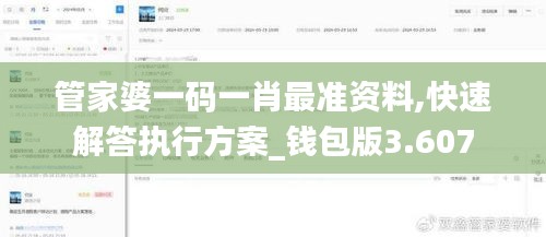 管家婆一码一肖最准资料,快速解答执行方案_钱包版3.607