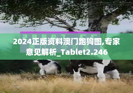 2024正版资料澳门跑狗图,专家意见解析_Tablet2.246