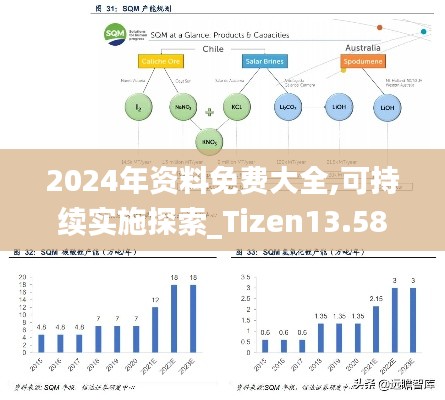2024年资料免费大全,可持续实施探索_Tizen13.581