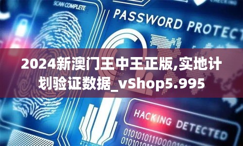 2024新澳门王中王正版,实地计划验证数据_vShop5.995