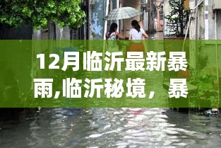 临沂秘境探秘，暴雨后小巷奇遇与独特风味小店，12月最新暴雨资讯