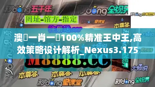 澳門一肖一碼100%精准王中王,高效策略设计解析_Nexus3.175