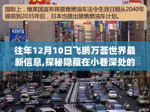 探秘小巷深处的飞鹏万荟世界，特色小店最新故事揭秘