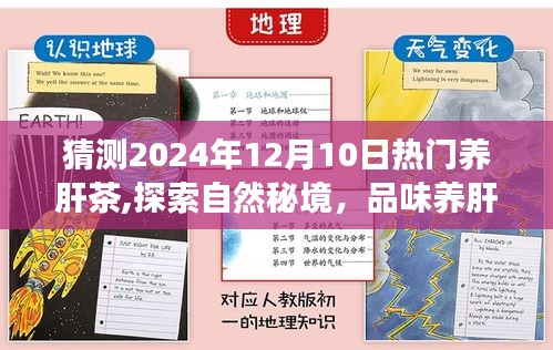 物离乡贵 第4页