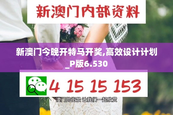 新澳门今晚开特马开奖,高效设计计划_P版6.530