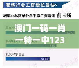 澳门一码一肖一特一中123,深入执行数据方案_精装版1.658