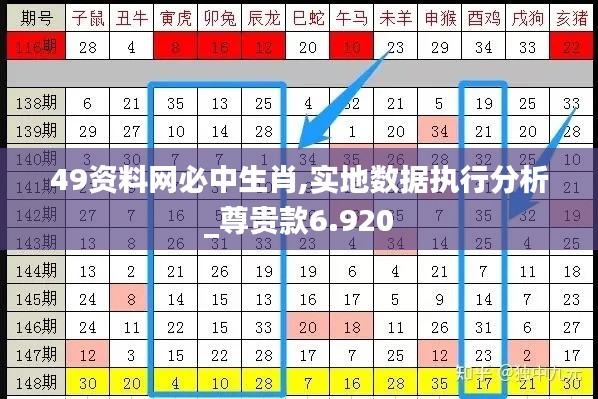 49资料网必中生肖,实地数据执行分析_尊贵款6.920