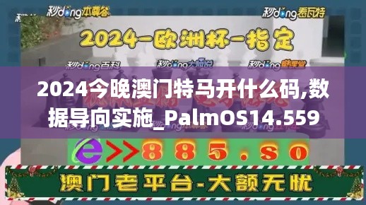 2024今晚澳门特马开什么码,数据导向实施_PalmOS14.559
