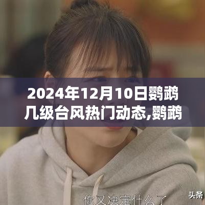 揭秘鹦鹉级台风动态，如何应对来袭的鹦鹉台风热门动态？