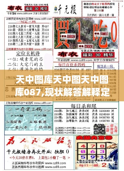 天中图库天中图天中图库087,现状解答解释定义_bundle2.465
