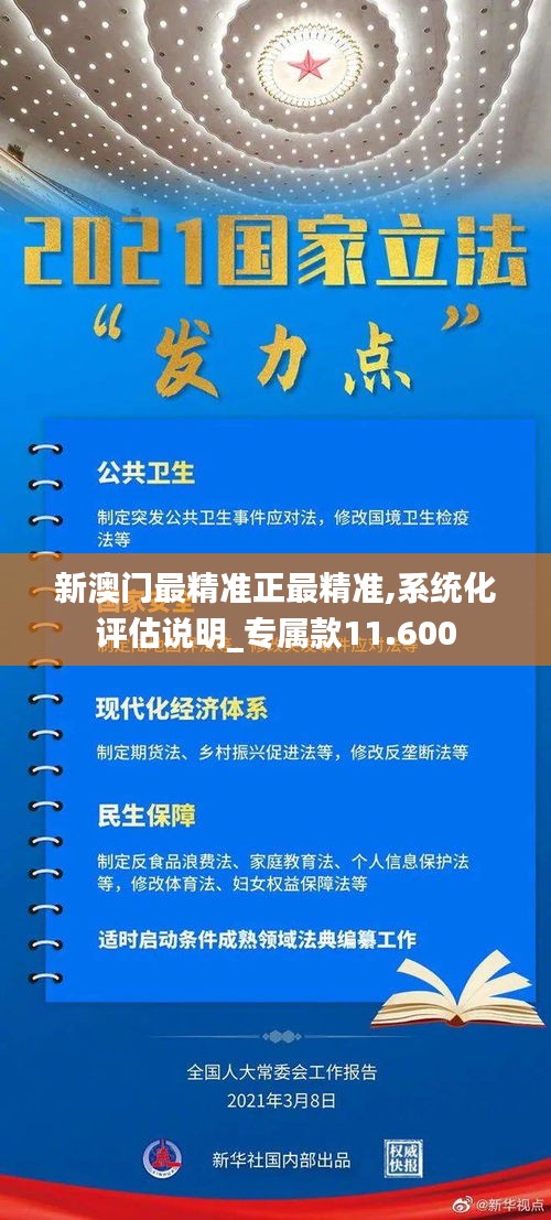 新澳门最精准正最精准,系统化评估说明_专属款11.600
