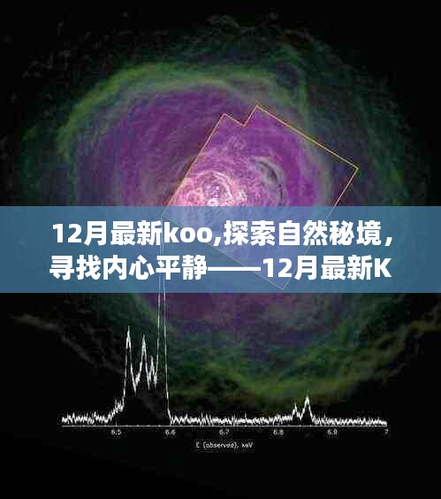 启程探索自然秘境，寻找内心平静——最新KOO之旅启航！