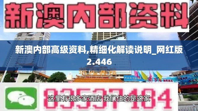 新澳内部高级资料,精细化解读说明_网红版2.446