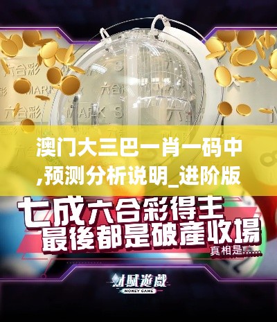 澳门大三巴一肖一码中,预测分析说明_进阶版18.735