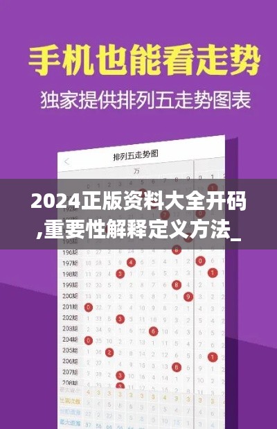 2024正版资料大全开码,重要性解释定义方法_体验版4.344